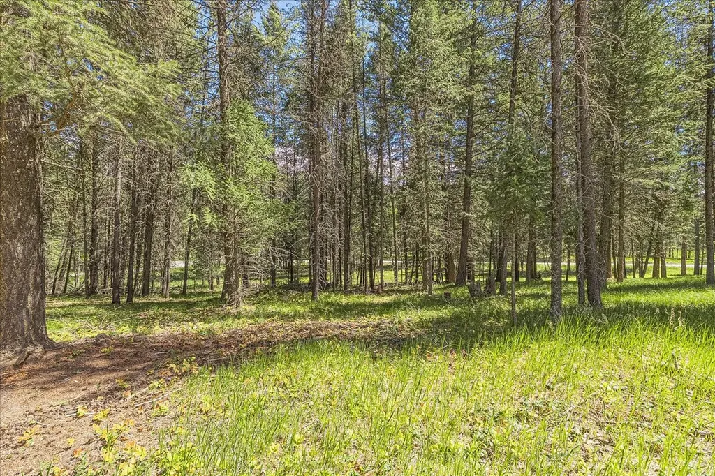 111 Terning Drive W Eureka MT 59917