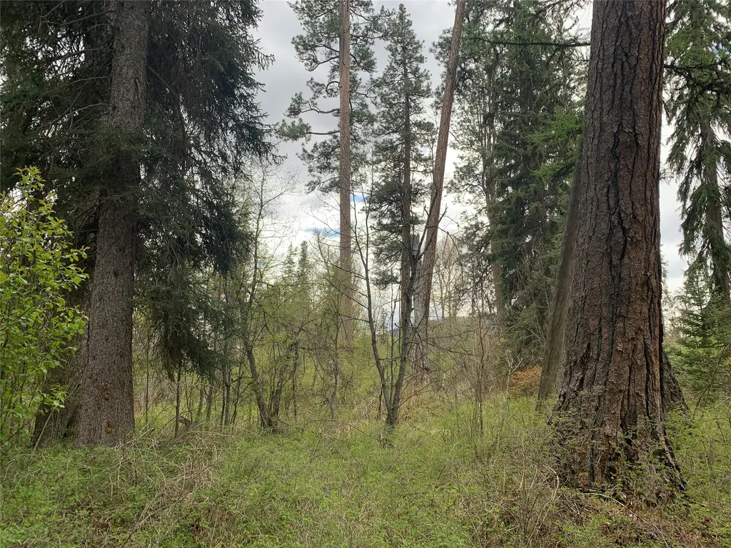 57021 Us Highway 2 Libby MT 59923
