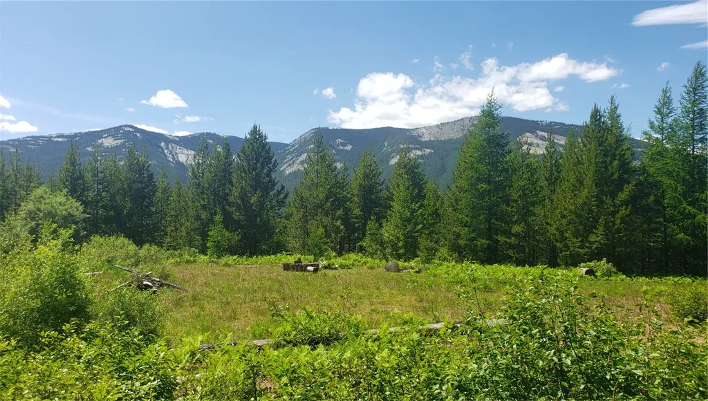 14463 Libby Creek Road Libby MT 59923