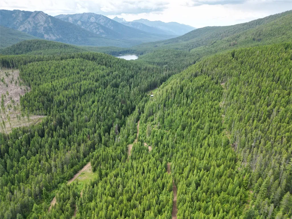 14463 Libby Creek Road Libby MT 59923