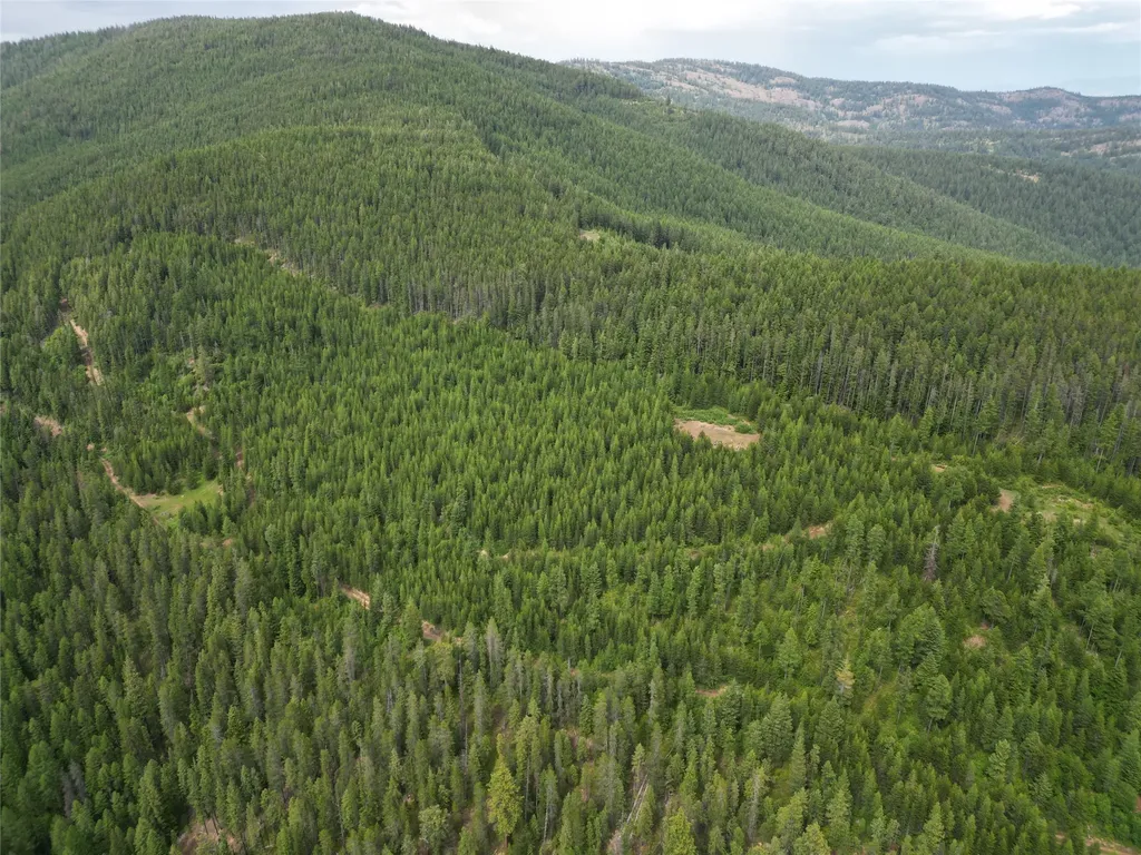 14463 Libby Creek Road Libby MT 59923