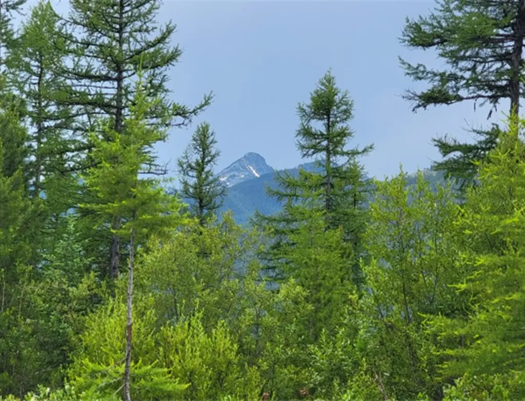 14463 Libby Creek Road Libby MT 59923