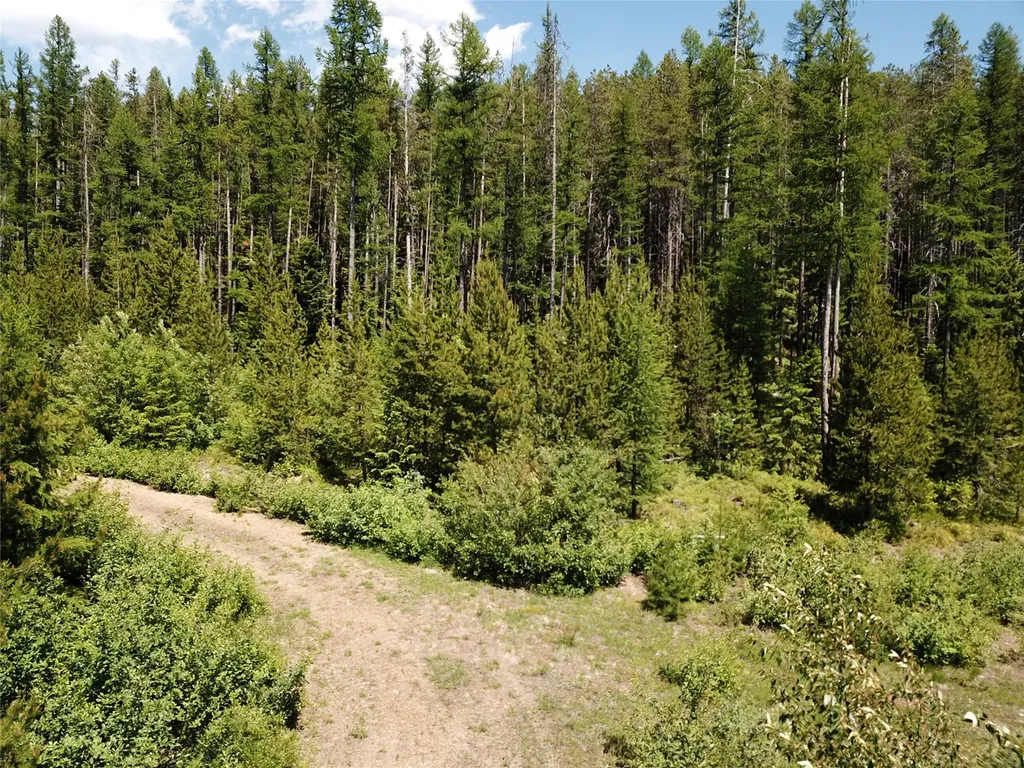 14463 Libby Creek Road Libby MT 59923