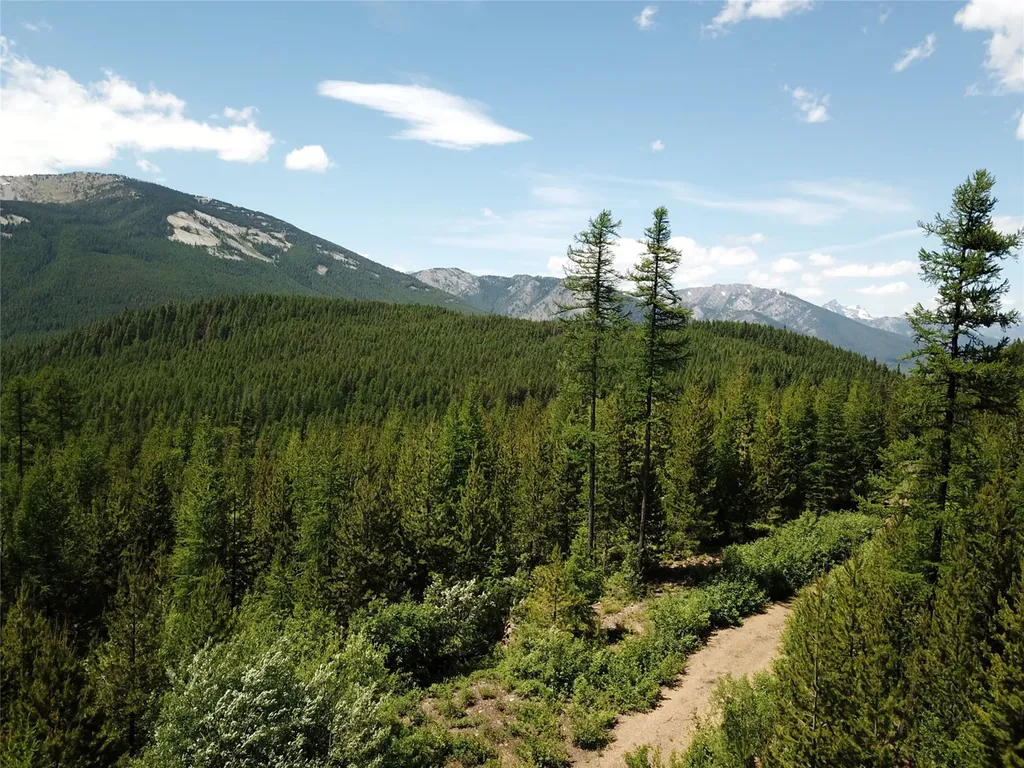 14463 Libby Creek Road Libby MT 59923