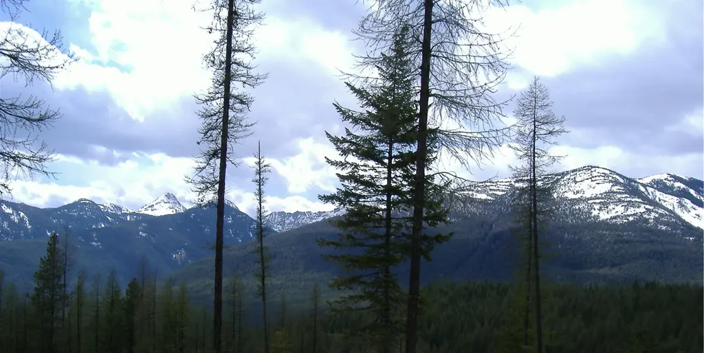 14463 Libby Creek Road Libby MT 59923