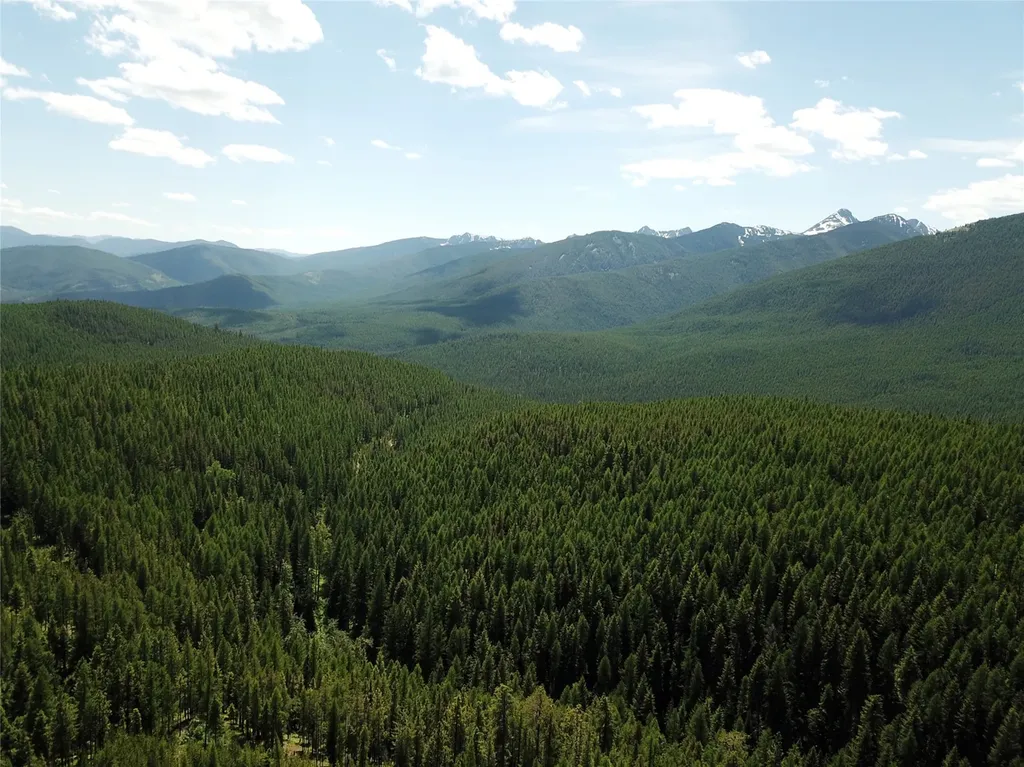 14463 Libby Creek Road Libby MT 59923