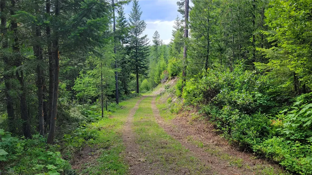 14463 Libby Creek Road Libby MT 59923