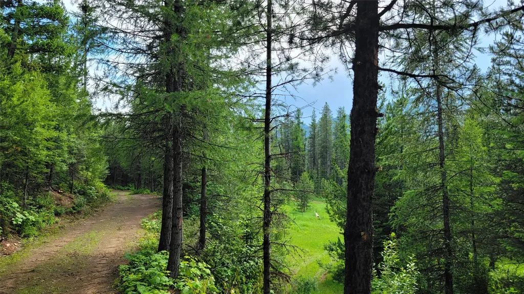 14463 Libby Creek Road Libby MT 59923