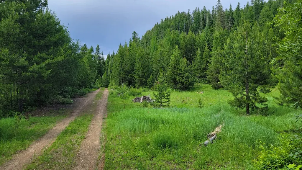 14463 Libby Creek Road Libby MT 59923
