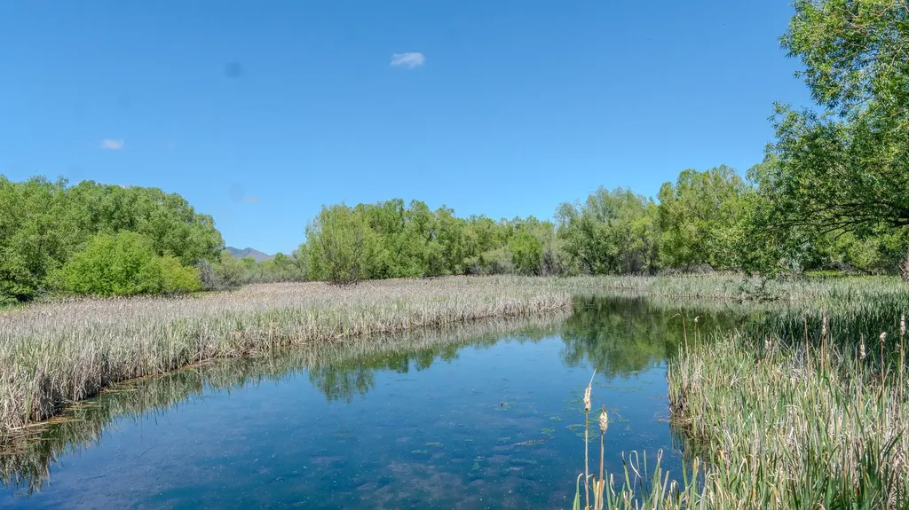3522 Olsen Road Helena MT 59602