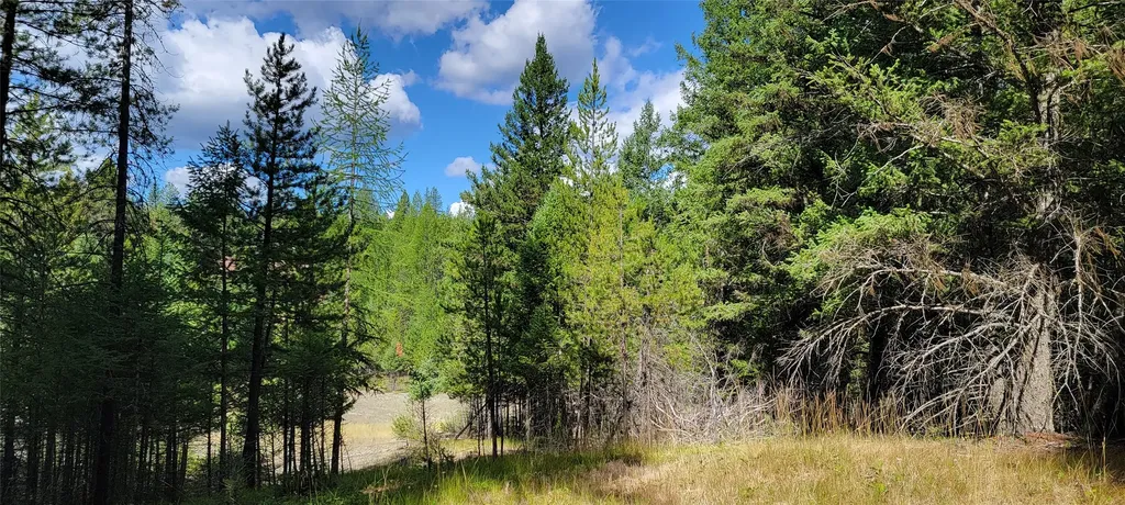 1280 Rogers Lake Road Kila MT 59920