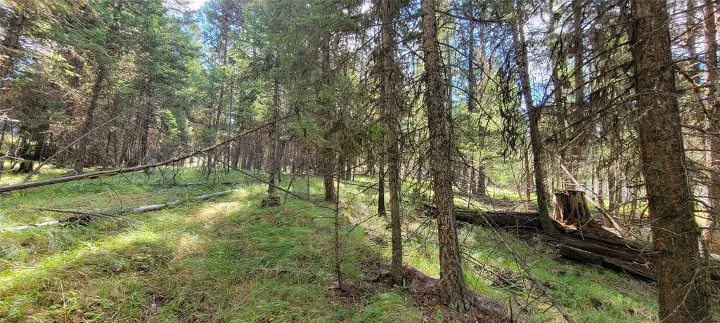 1280 Rogers Lake Road Kila MT 59920