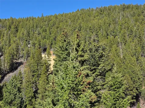 TBD Little Blackfoot Rvr Little Blackfoot River Road Elliston MT 59728