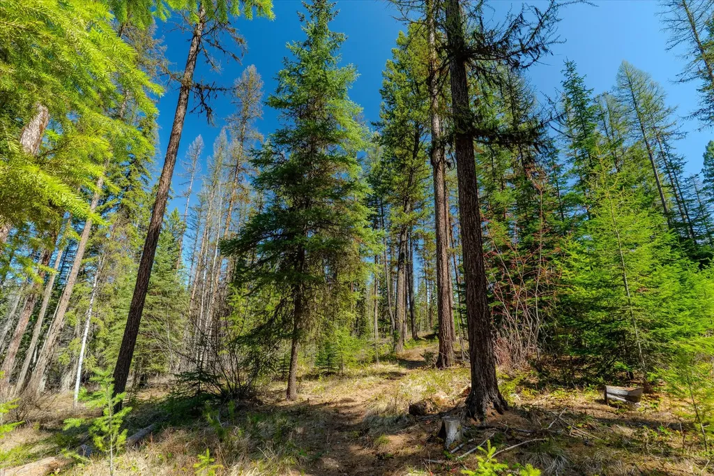 675 Beaver Lake Road Whitefish MT 59937
