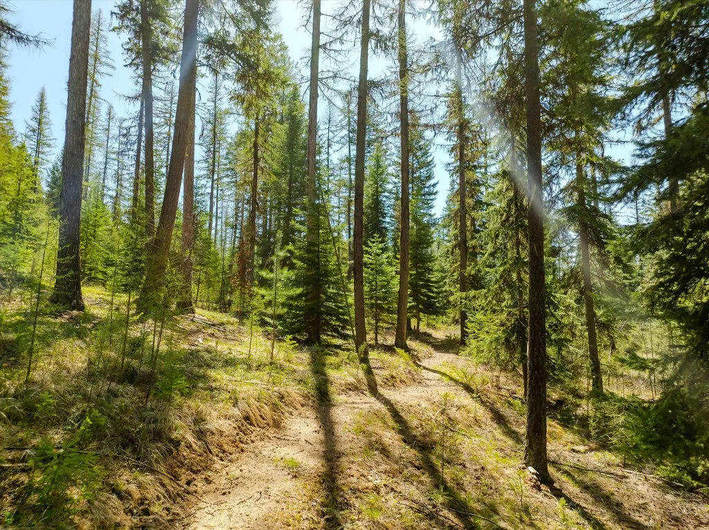 675 Beaver Lake Road Whitefish MT 59937