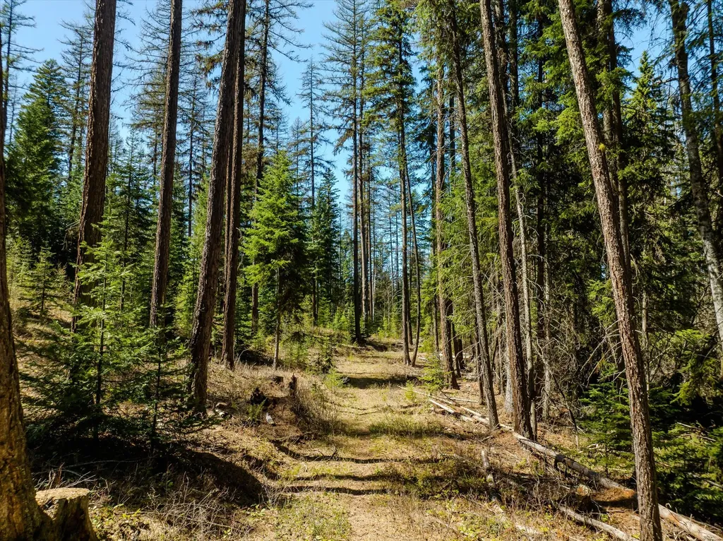 675 Beaver Lake Road Whitefish MT 59937