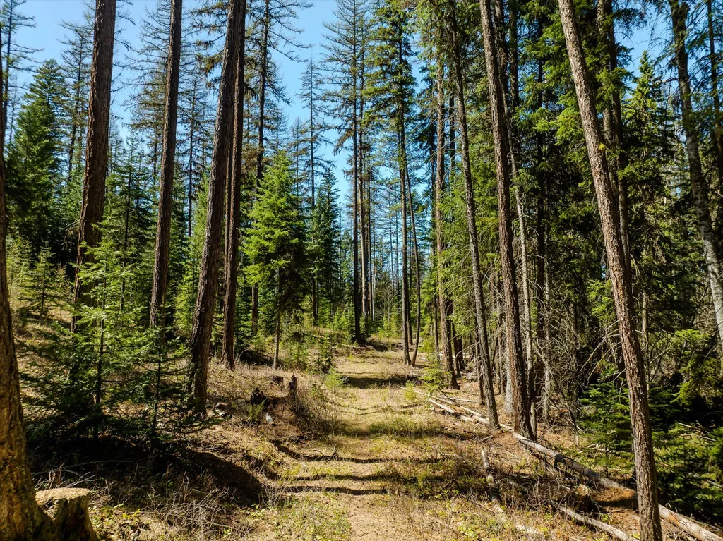 675 Beaver Lake Road Whitefish MT 59937