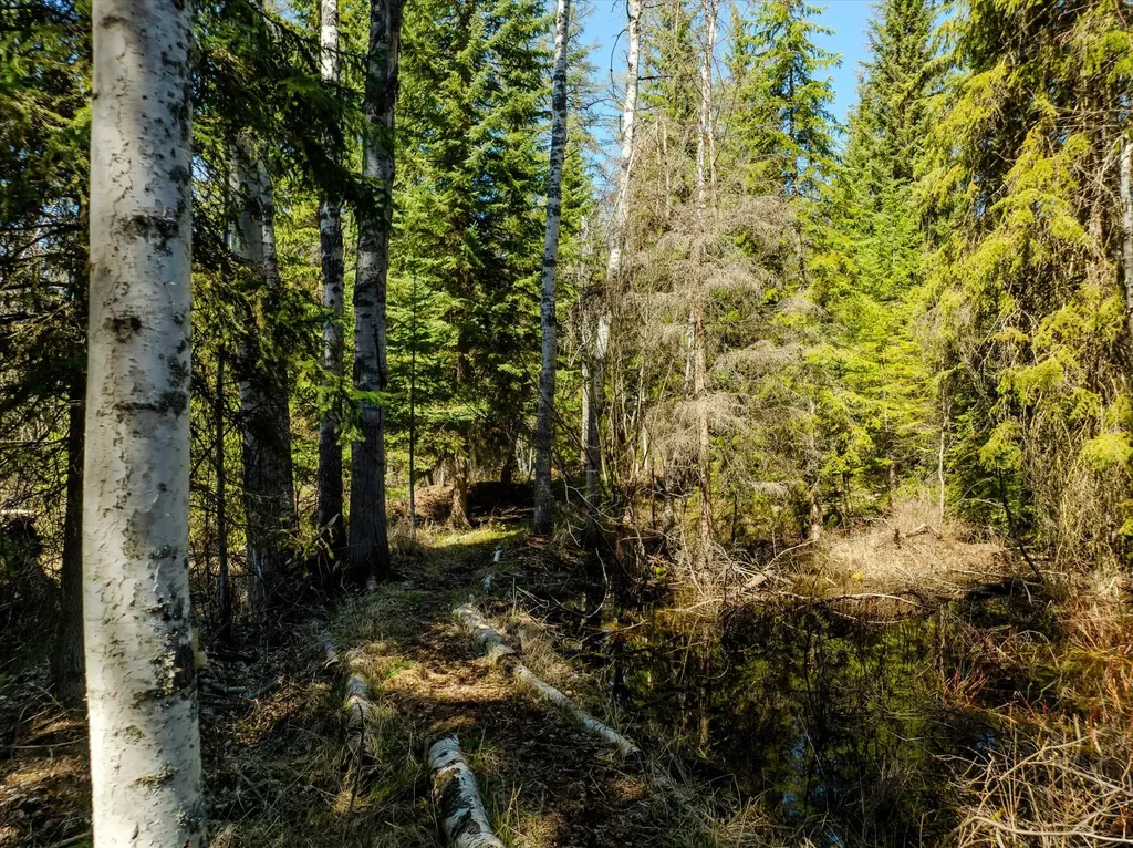 675 Beaver Lake Road Whitefish MT 59937