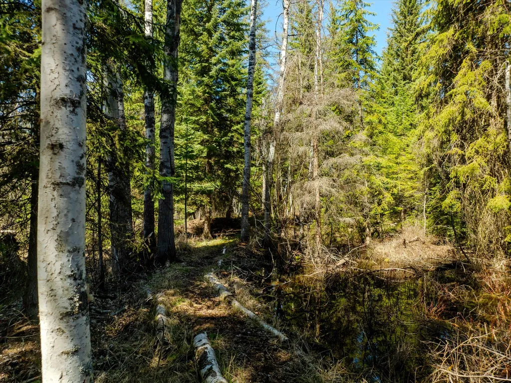 675 Beaver Lake Road Whitefish MT 59937