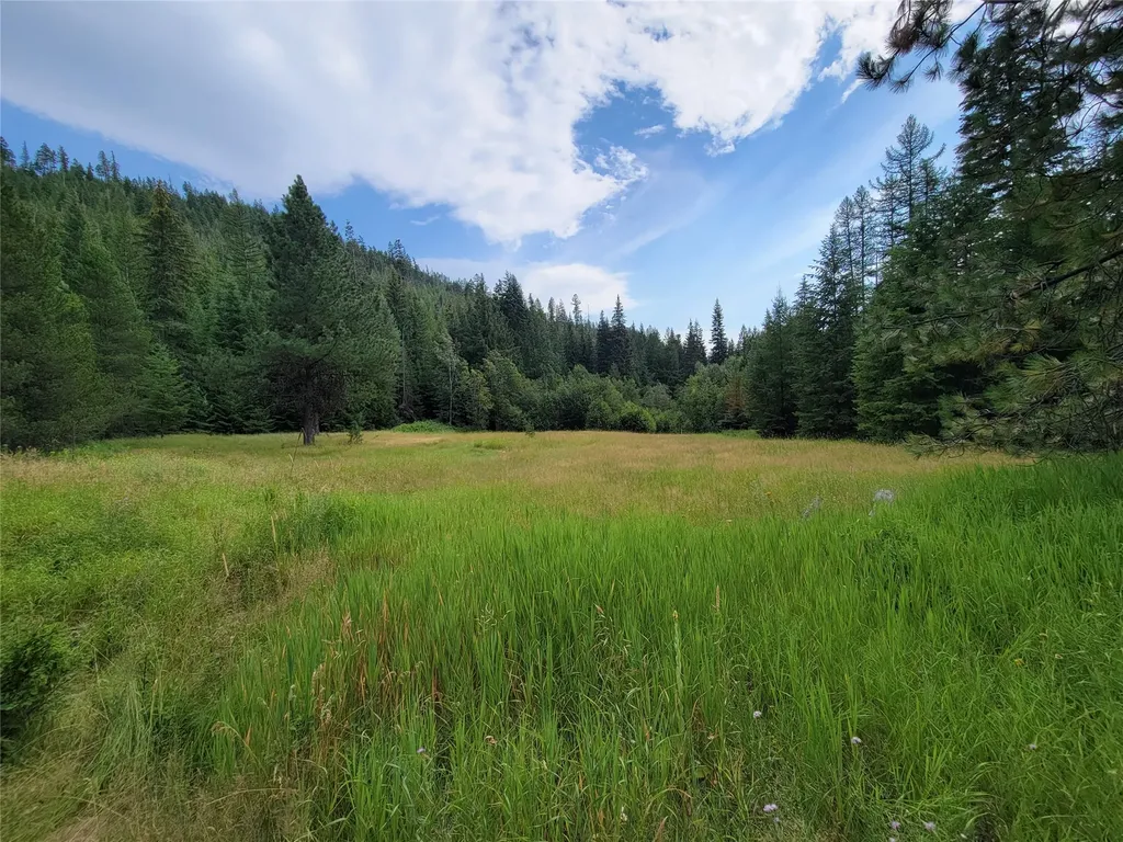 1980 Rabbit Creek Road Troy MT 59935
