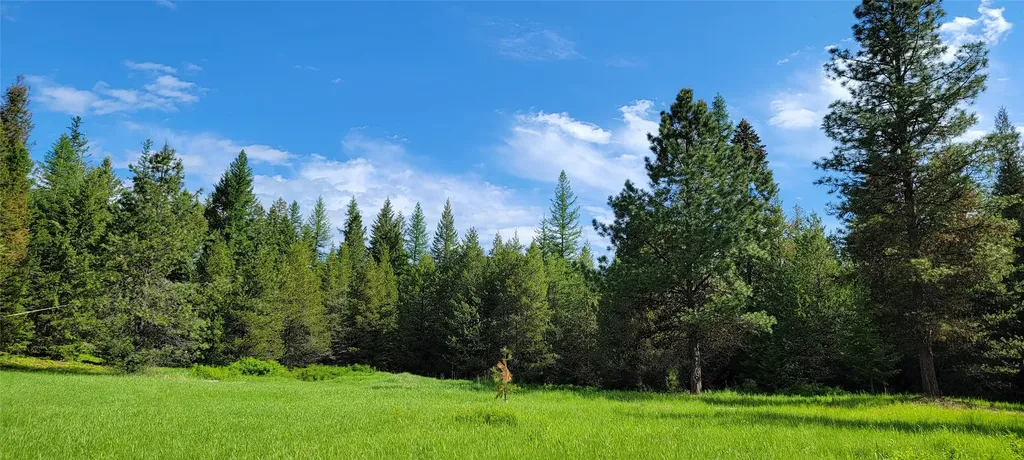 1980 Rabbit Creek Road Troy MT 59935