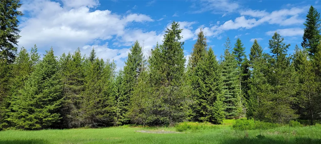 1980 Rabbit Creek Road Troy MT 59935