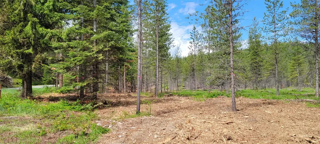 1980 Rabbit Creek Road Troy MT 59935