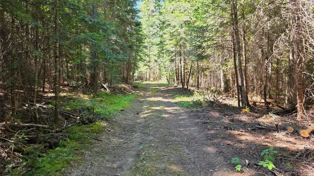 1980 Rabbit Creek Road Troy MT 59935