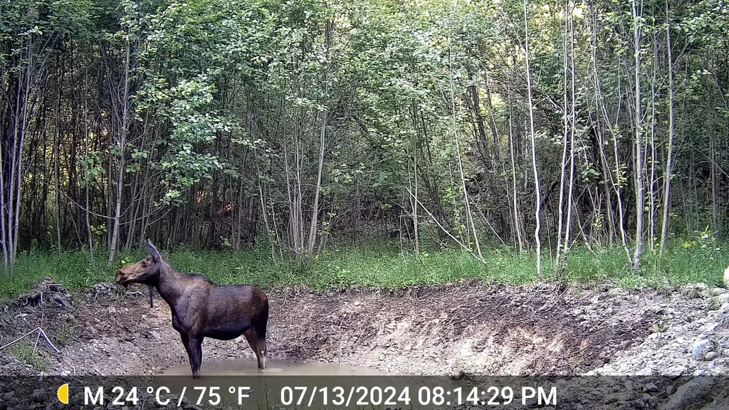 1980 Rabbit Creek Road Troy MT 59935