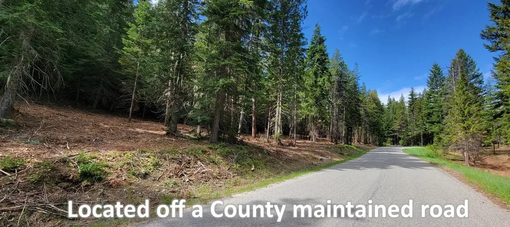 1980 Rabbit Creek Road Troy MT 59935
