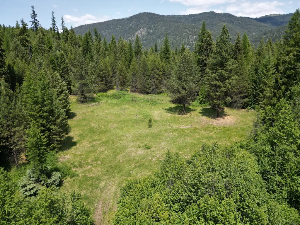 1980 Rabbit Creek Road Troy MT 59935