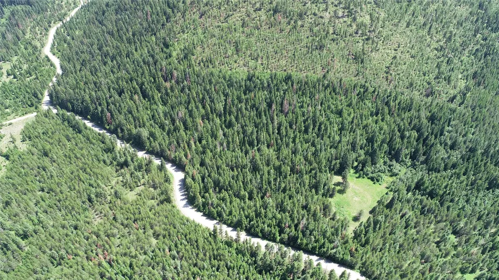 1980 Rabbit Creek Road Troy MT 59935