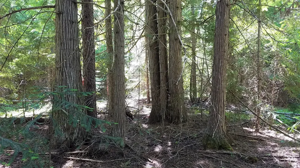 1980 Rabbit Creek Road Troy MT 59935