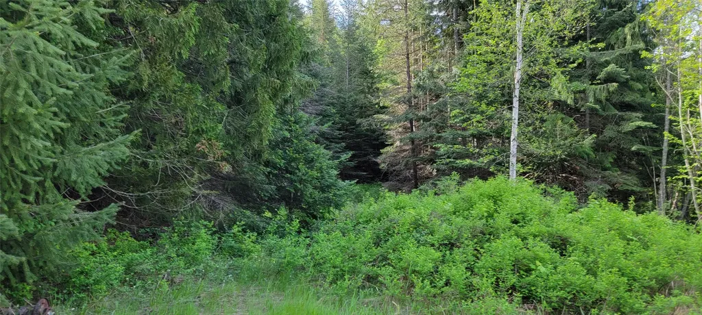1980 Rabbit Creek Road Troy MT 59935