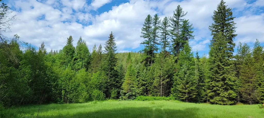 1980 Rabbit Creek Road Troy MT 59935