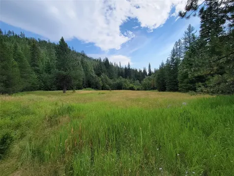 1980 Rabbit Creek Road Troy MT 59935