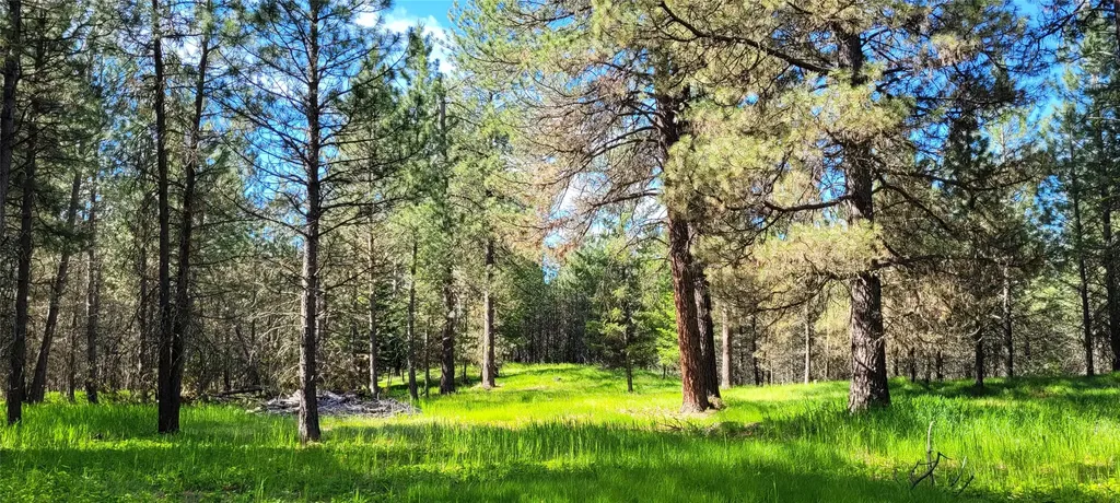 131 Break Road Libby MT 59923