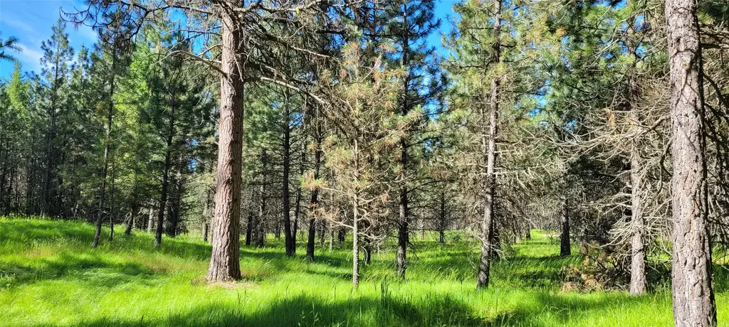 131 Break Road Libby MT 59923