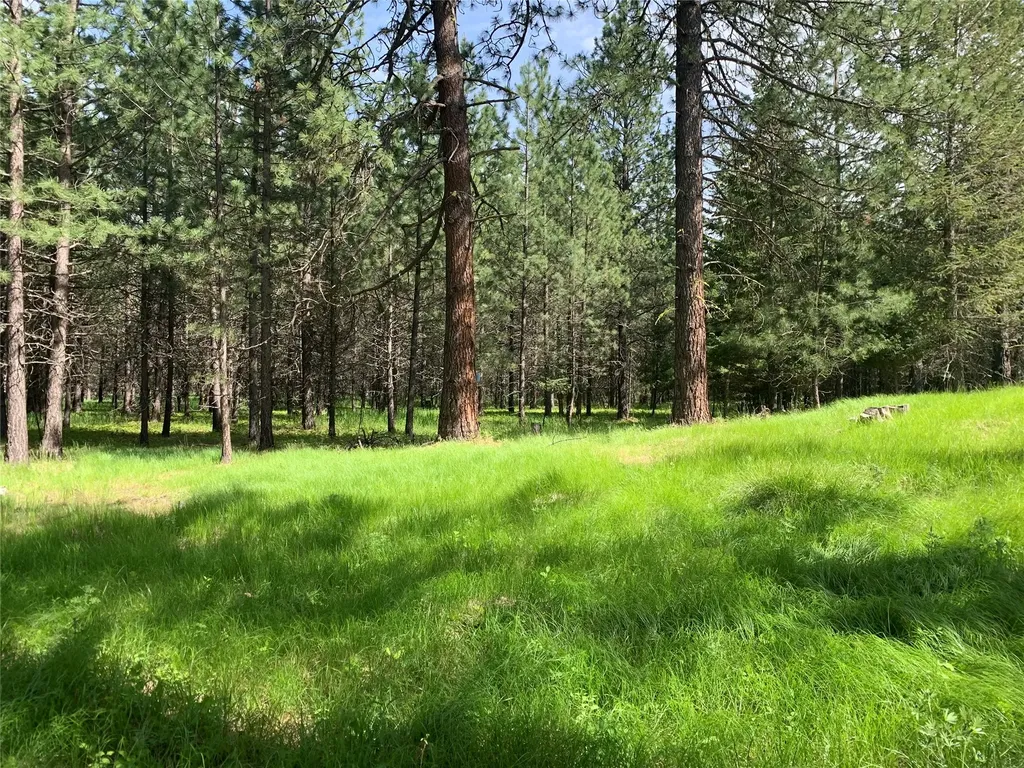 131 Break Road Libby MT 59923