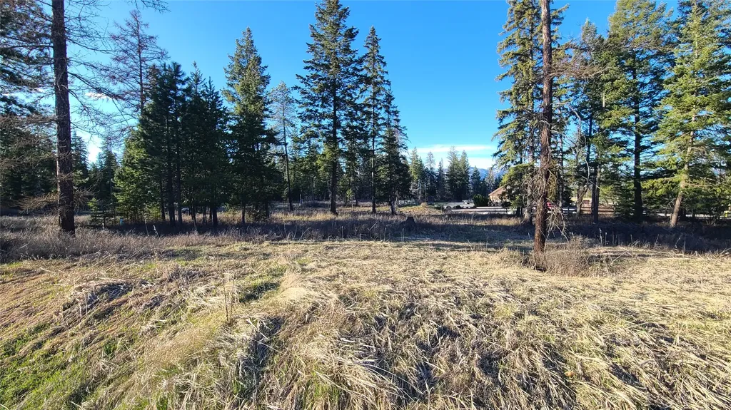 117 Ljc Lane Whitefish MT 59937