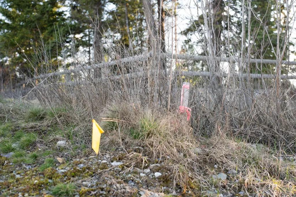 117 Ljc Lane Whitefish MT 59937