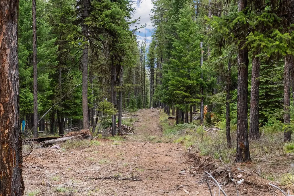 1030 Old Barn Road Seeley Lake MT 59868