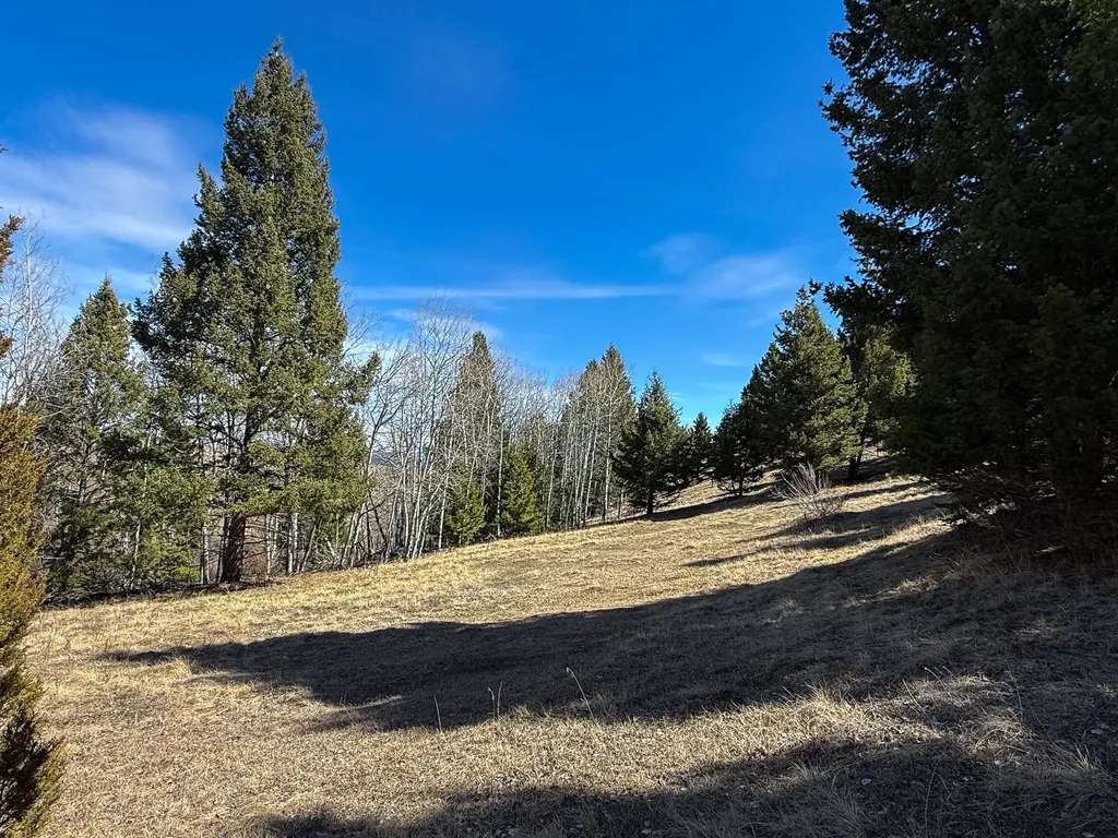 Tbd Lone Pine Gulch Road Ramsay MT 59748