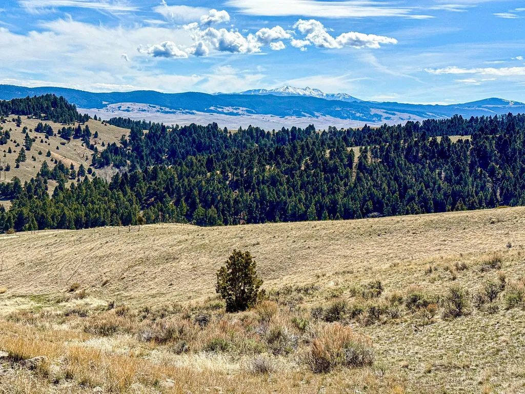 Tbd Lone Pine Gulch Road Ramsay MT 59748