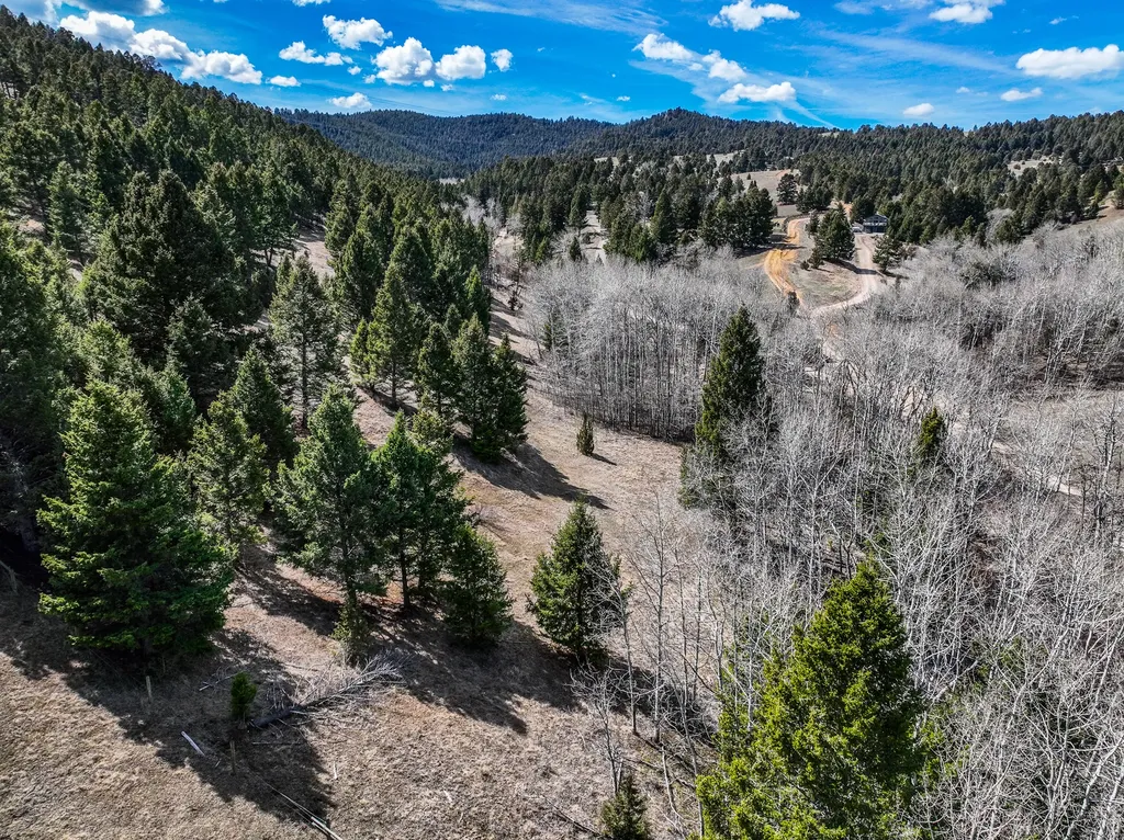Tbd Lone Pine Gulch Road Ramsay MT 59748