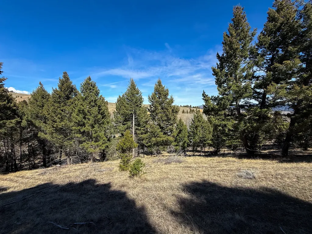 Tbd Lone Pine Gulch Road Ramsay MT 59748