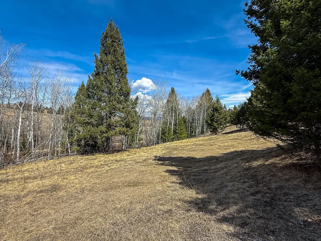 Tbd Lone Pine Gulch Road Ramsay MT 59748