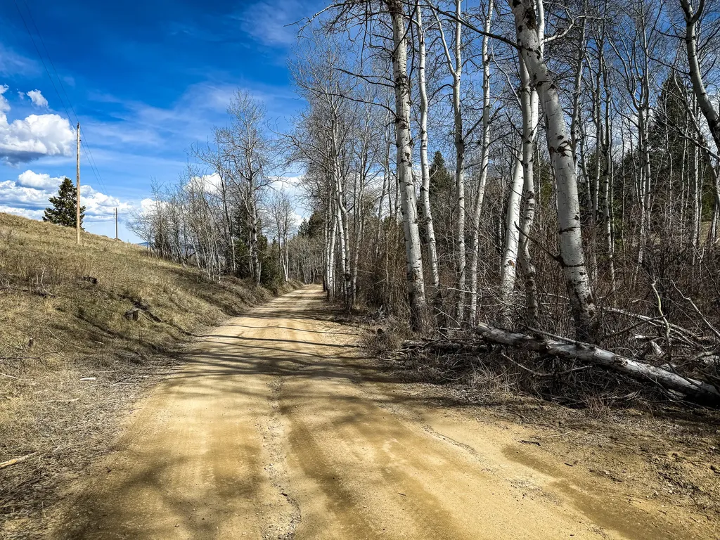 Tbd Lone Pine Gulch Road Ramsay MT 59748