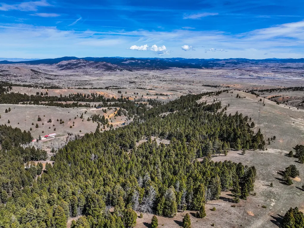 Tbd Lone Pine Gulch Road Ramsay MT 59748