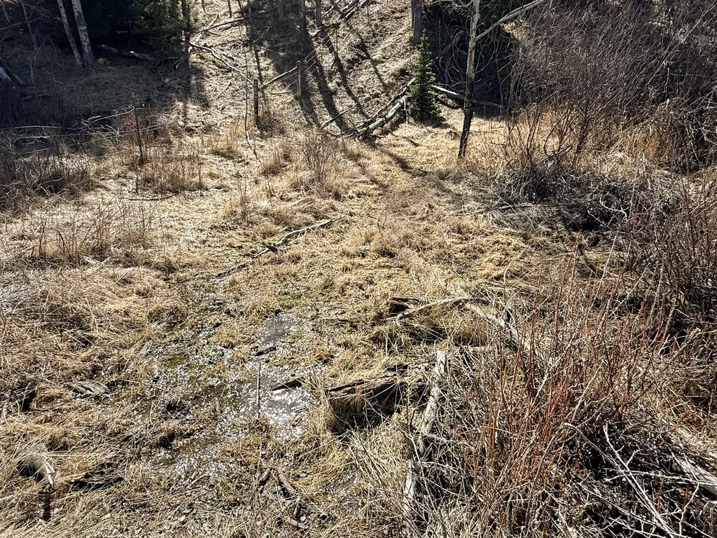 Tbd Lone Pine Gulch Road Ramsay MT 59748